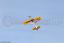 20cc EDGE 540 - yellow