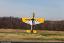 20cc EDGE 540 - yellow