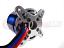 Tomcat G30cc Motor for Gas Airplane