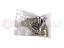Tomcat G30cc Motor for Gas Airplane