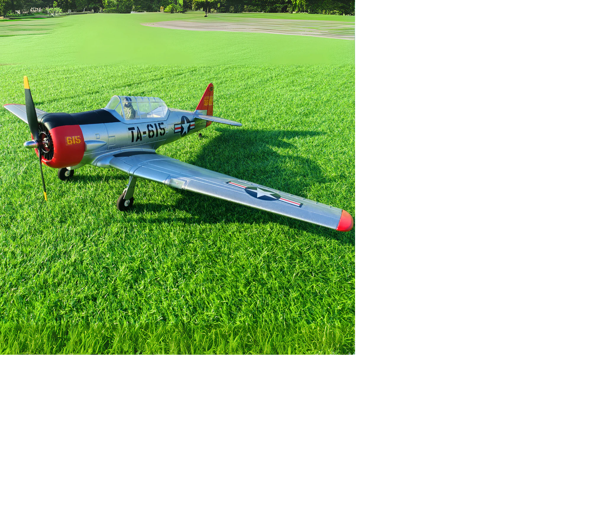 RedwingRC High Quality Gas and Electric Planes, Quad Copters, and Jets
