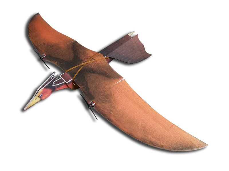 EPP Pterodactyl Airplane 63" (1600MM) Wingspan