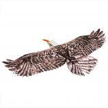 EPP Eagle II Airplane 56.3" (1430MM) Wingspan 