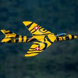 Hawker Hunter 70MM EDF Jet Flaps Retracts - PNP