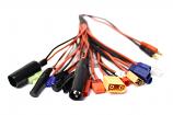 20 Function Charging Wire to 4mm Bullets