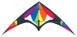 Freebird Rainbow Kite- Beginner Sport Kite