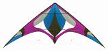 Freebird Purple Kite- Beginner Sport Kite 